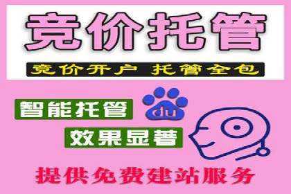 深度解析：某信息流广告公司的技术支撑与效果评估